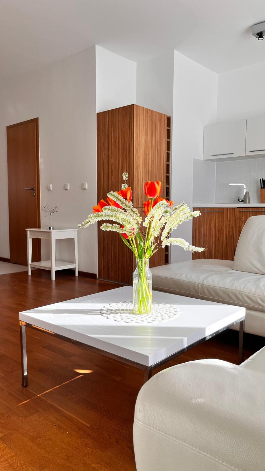 Mercury Two-bedroom & Parking * Swinoujscie